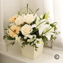 Croydon Arrangement of Flowers Croydon Arrangement of Flowers
